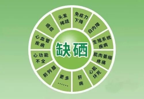 1779085054.jpg 微信图片_2026-05-18_141707_391.jpg