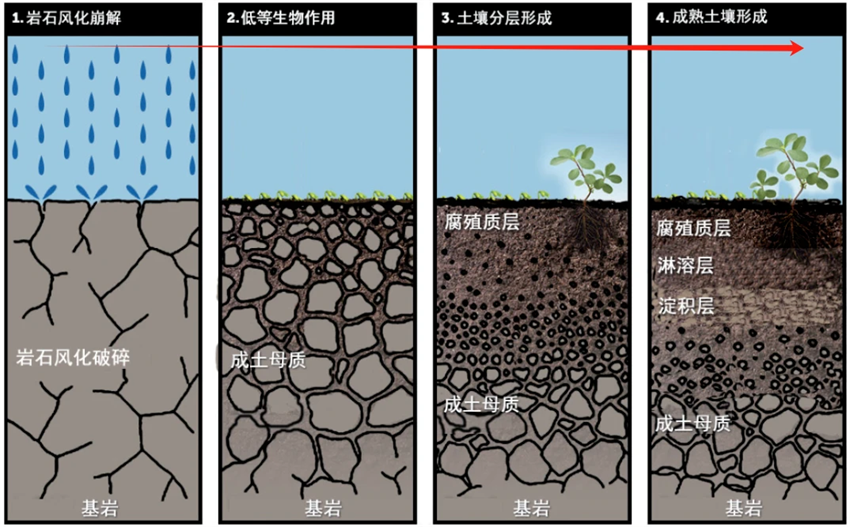 1779085623.png 微信图片_2026-05-18_142644_814.png